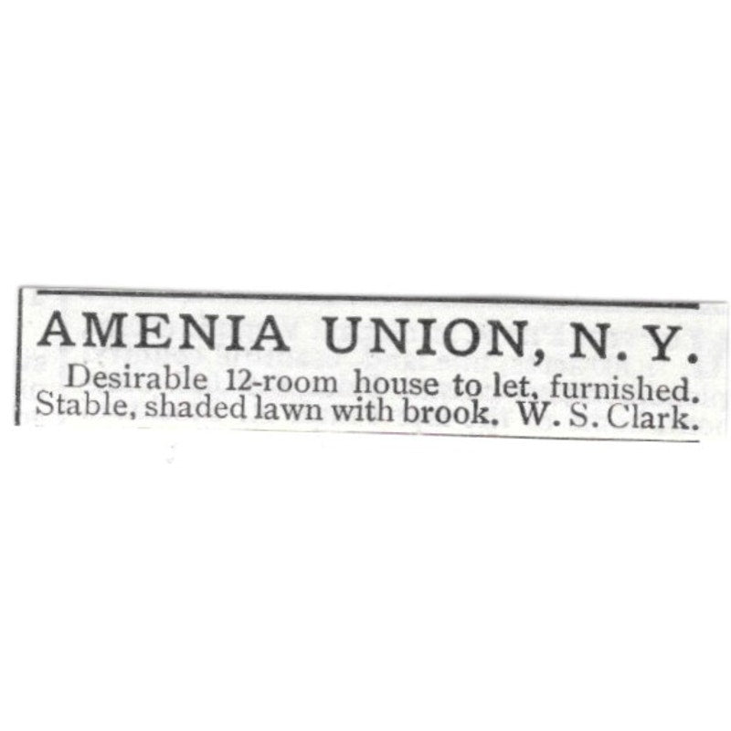 Amenia Union NY 12 Room House to Let W.S. Clark 1903 Ad AF8-S44