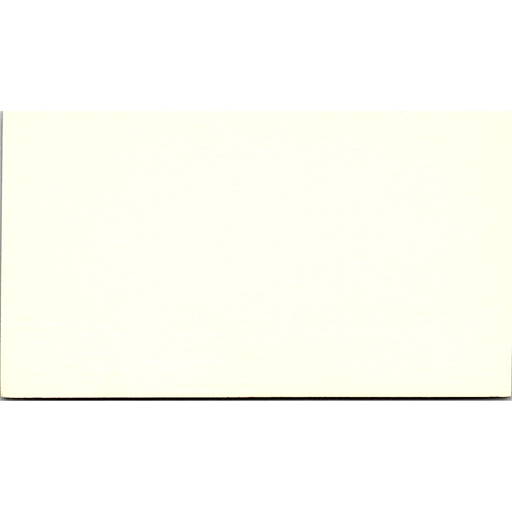 Mark S Panzer CPA Houston TX Vintage Business Card SD9-B1