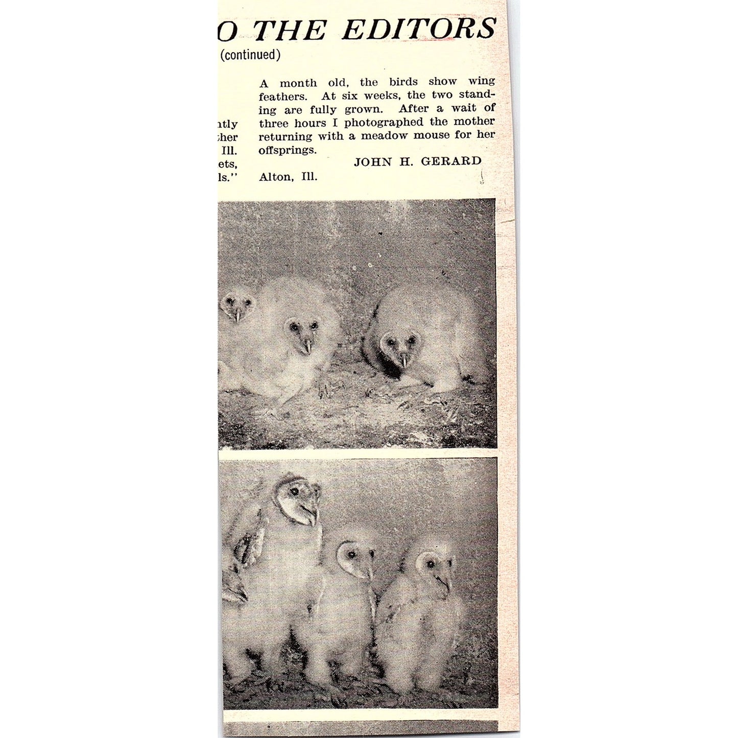 Gold Seal Champagne and Still Wines Hammondsport NY 1940 Ad AF8-H1