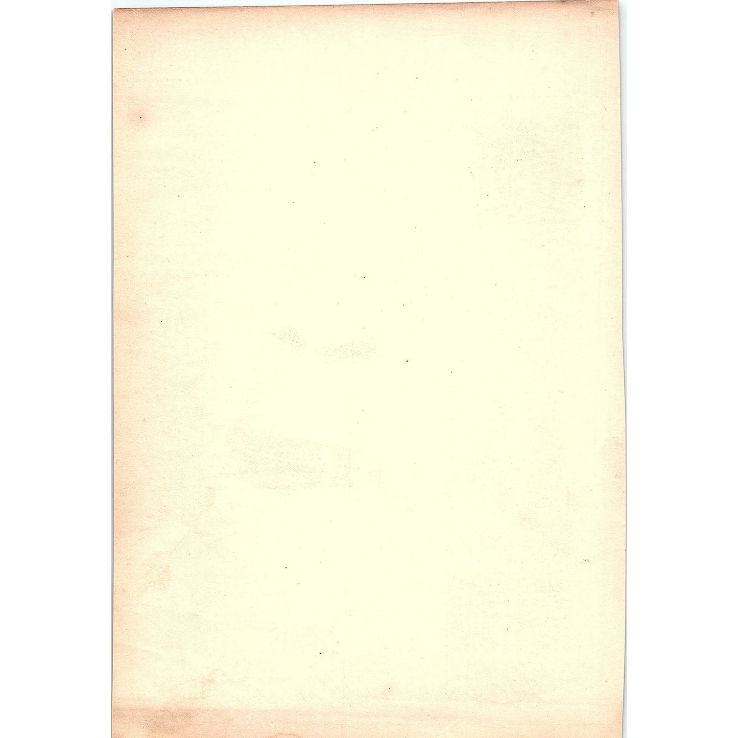 Will You Be My Valentine - Interracial Children 1884 Engraving TA5-CJ-1