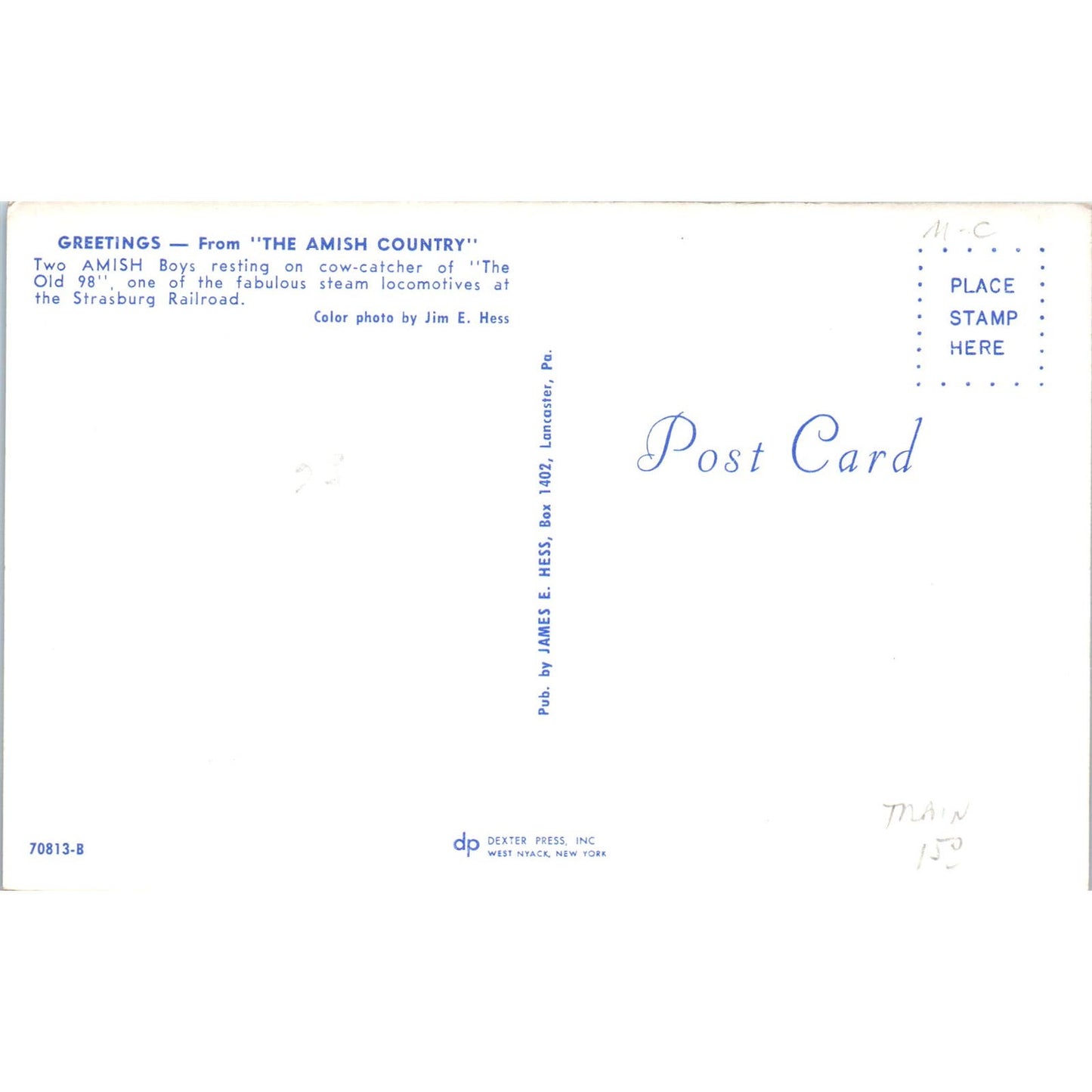 Amish Boys and Girls on Cow Catcher Strasburg Railroad PA Dutch Vtg Postcard PD1