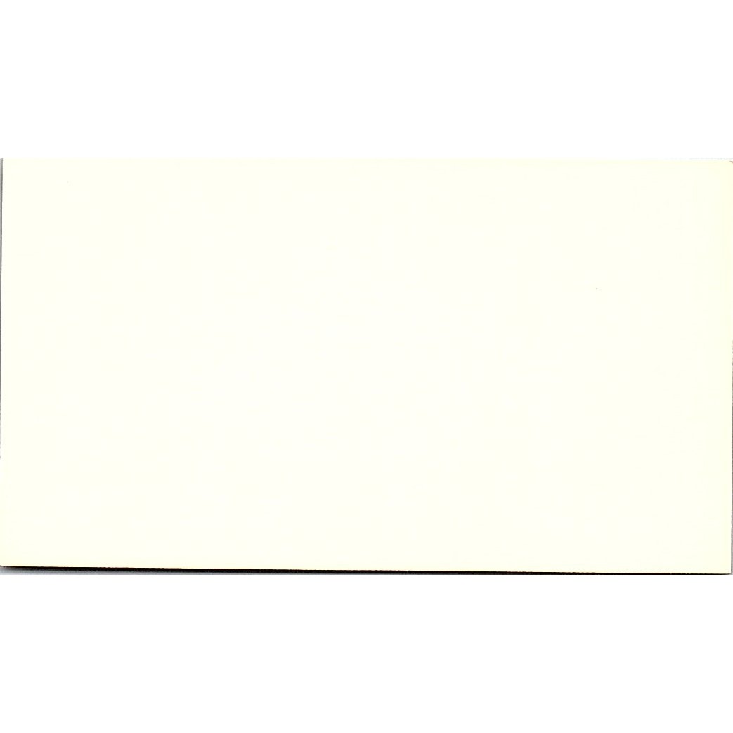 Thomas P Anderson CPA Pittsburgh PA Vintage Business Card SD9-B1