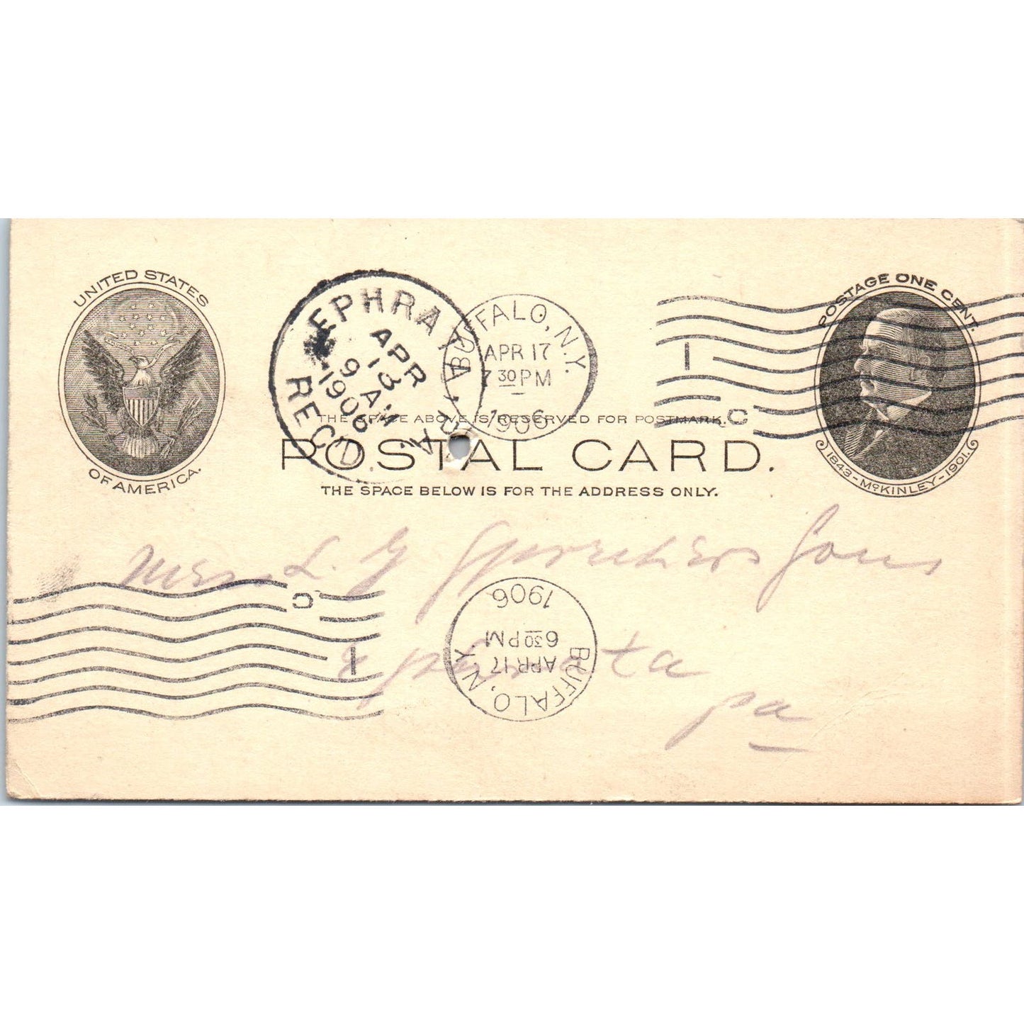 1906 Whitney-Eckstein Seed Co Buffalo NY Payment Receipt Postal Card AE8