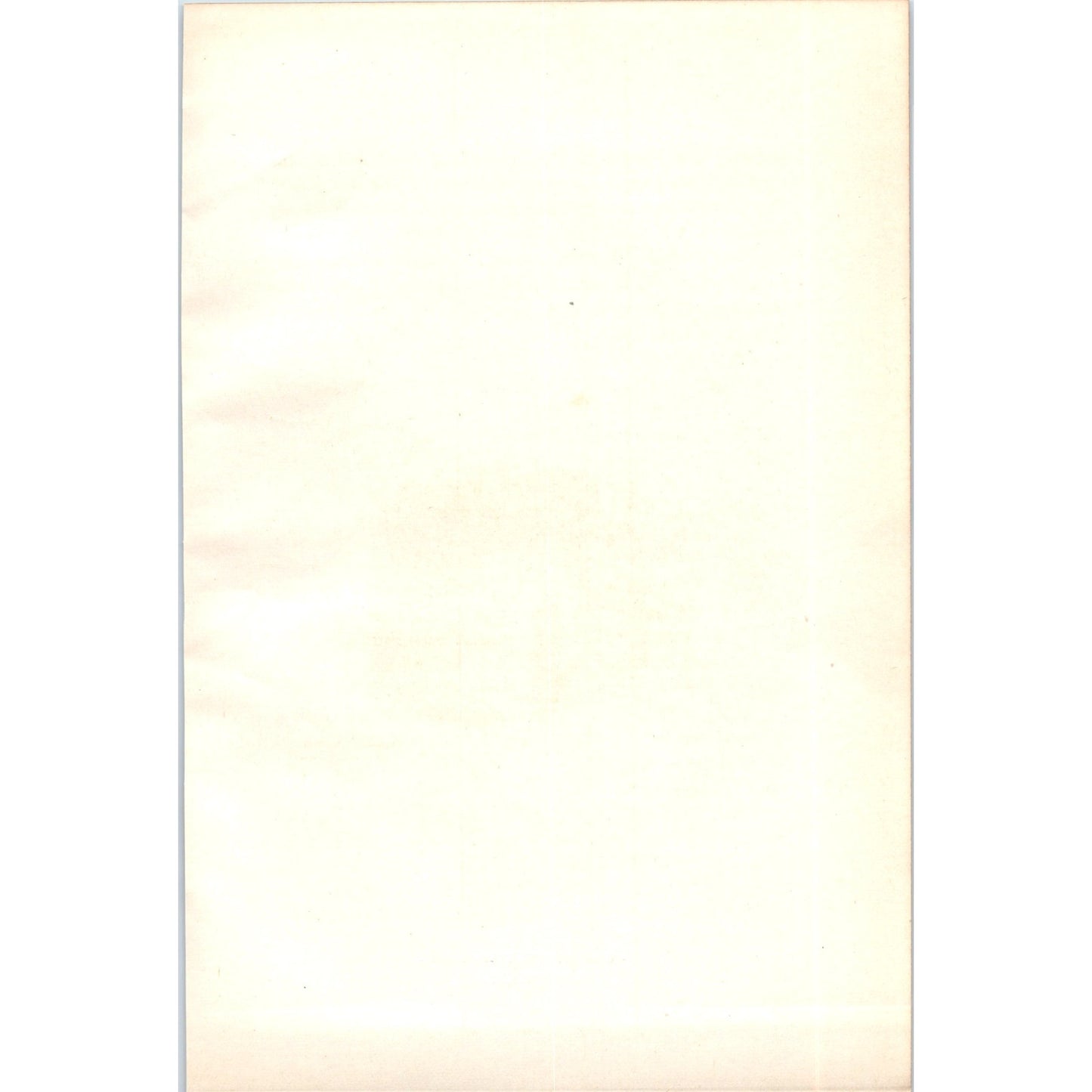 Grasshopper Warbler Bird 1903 Original Color Engraving Plate Print AD8-B7