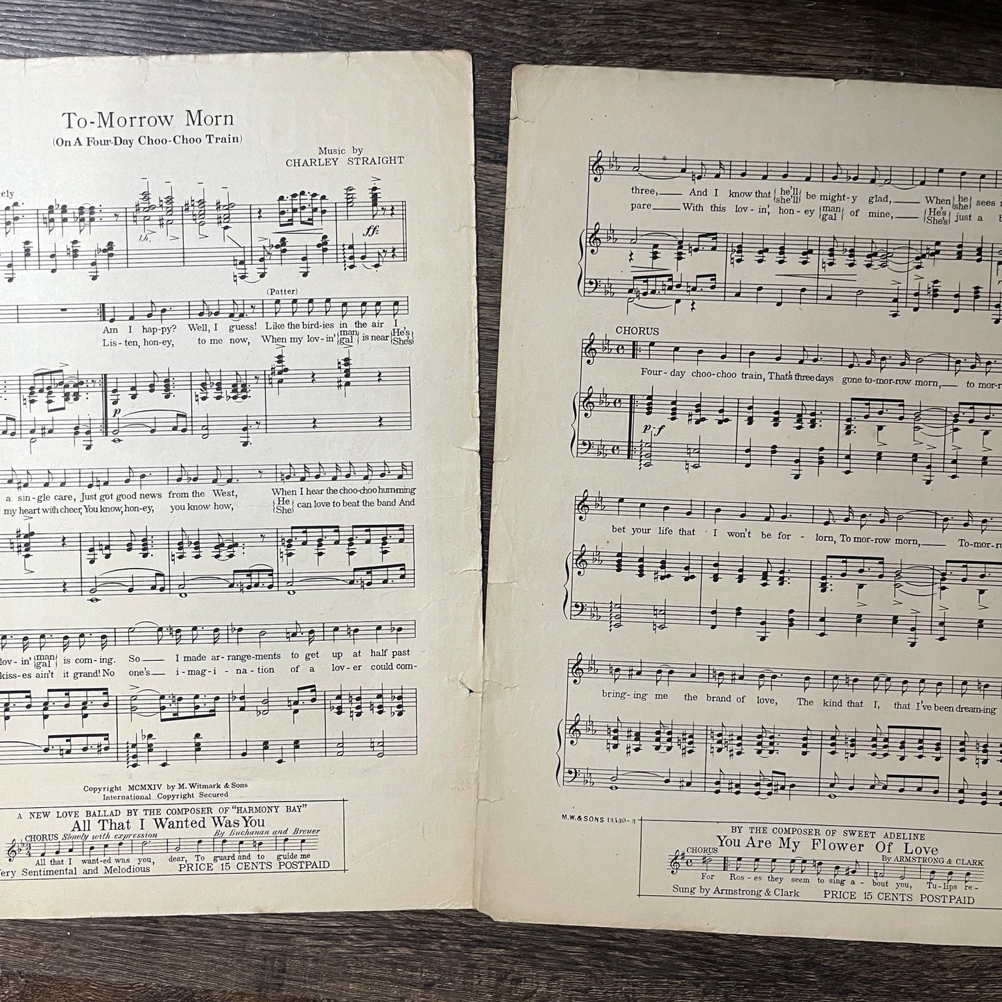 Tomorrow Morn on a Four Day Choo Choo Train Gene Greene 1914 Sheet Music V13