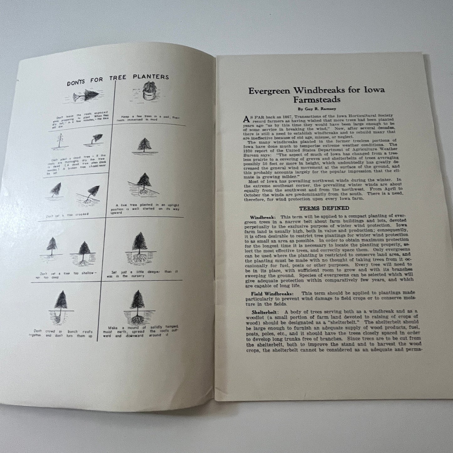 Evergreen Windbreaks for Iowa Farmsteads 1939 RK Bliss Ames IA Booklet TK2-XB2