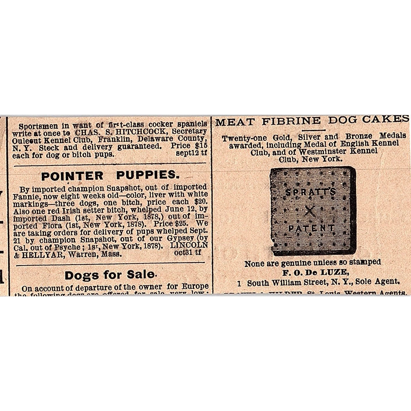 Foss Bros & Co Guns, Rifles, Pistols & Fishing Tackle Chicago 1878 ad AG2-H4