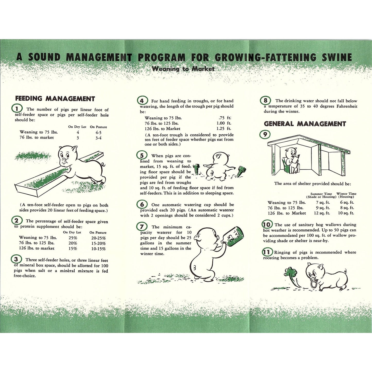 15 Management Solutions for Growing Fattening Swine Vintage Brochure AG5-H3