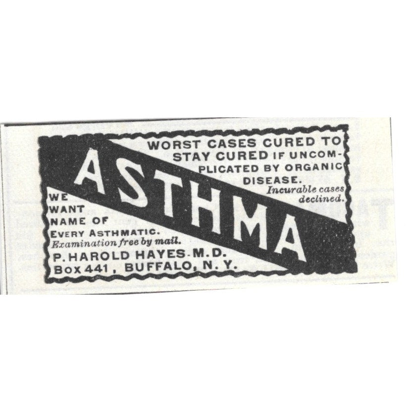 P. Harold Hayes M.D. Asthma Treatment Buffalo NY 1892 Ad AG2-S22