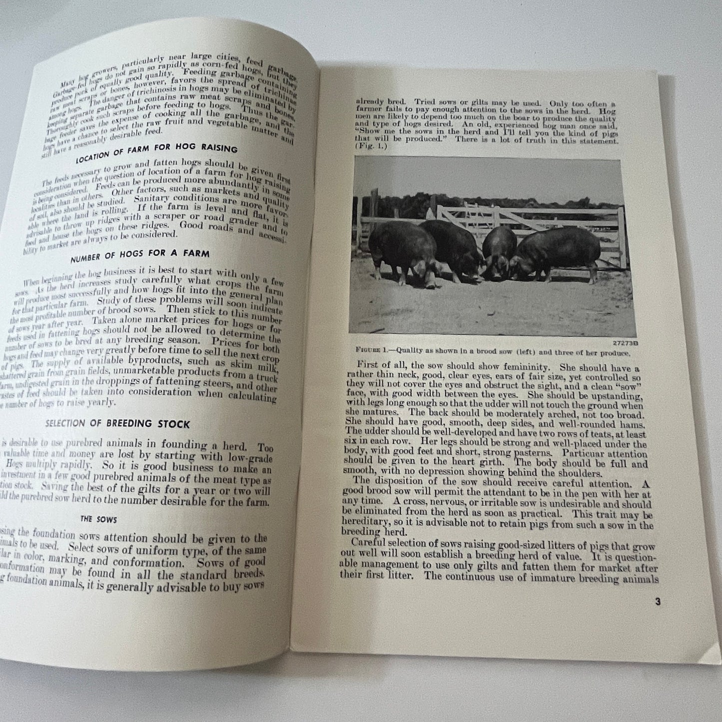 Swine Production 1958 USDA Farmers Bulletin Booklet TK2-XB4