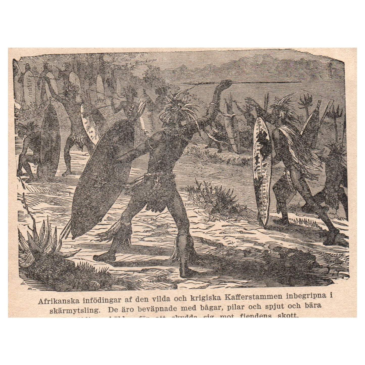 African Kaffir tribe engaged in skirmish 1909 Swedish Engraving Print AF5-15
