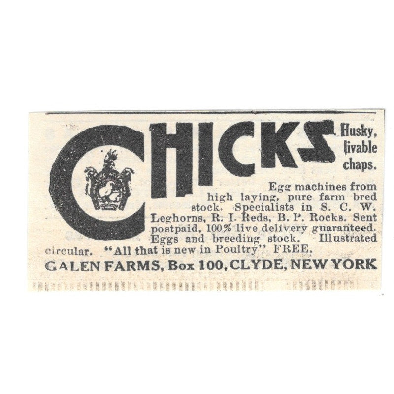 Galen Farms Chicks Clyde NY 1924 Ad AG3-S4