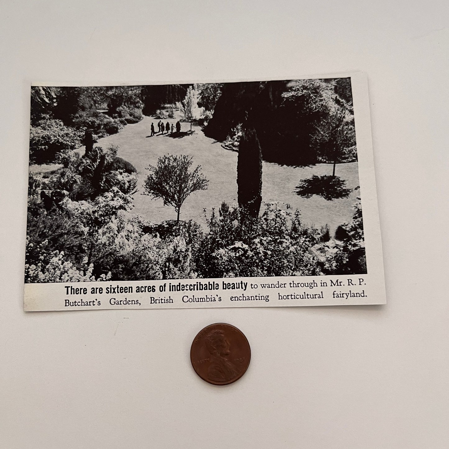 Mr. R.P. Butchart's Gardens British Columbia 1941 Magazine Picture SAG4-M3