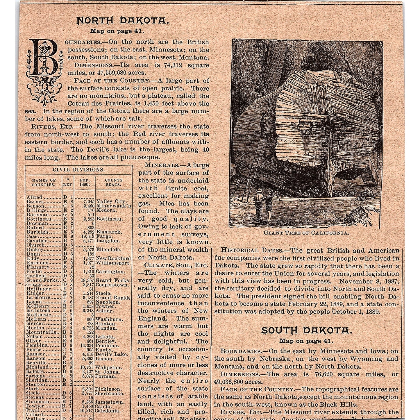 Giant Gap, American River Canon in Colorado 1894 Art Engraving AG4-8