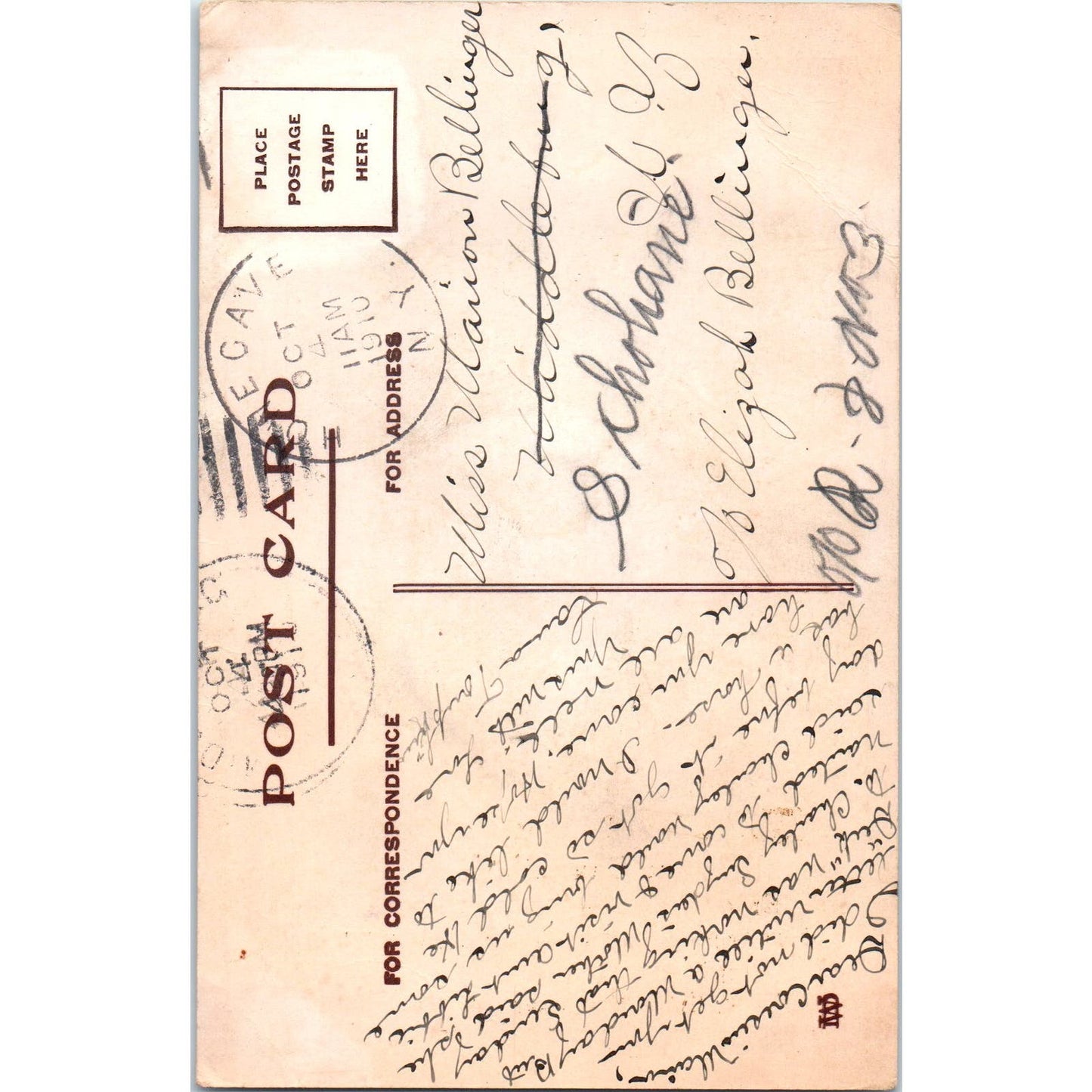 1910 Howe Cave New York Souvenir Postcard PC8