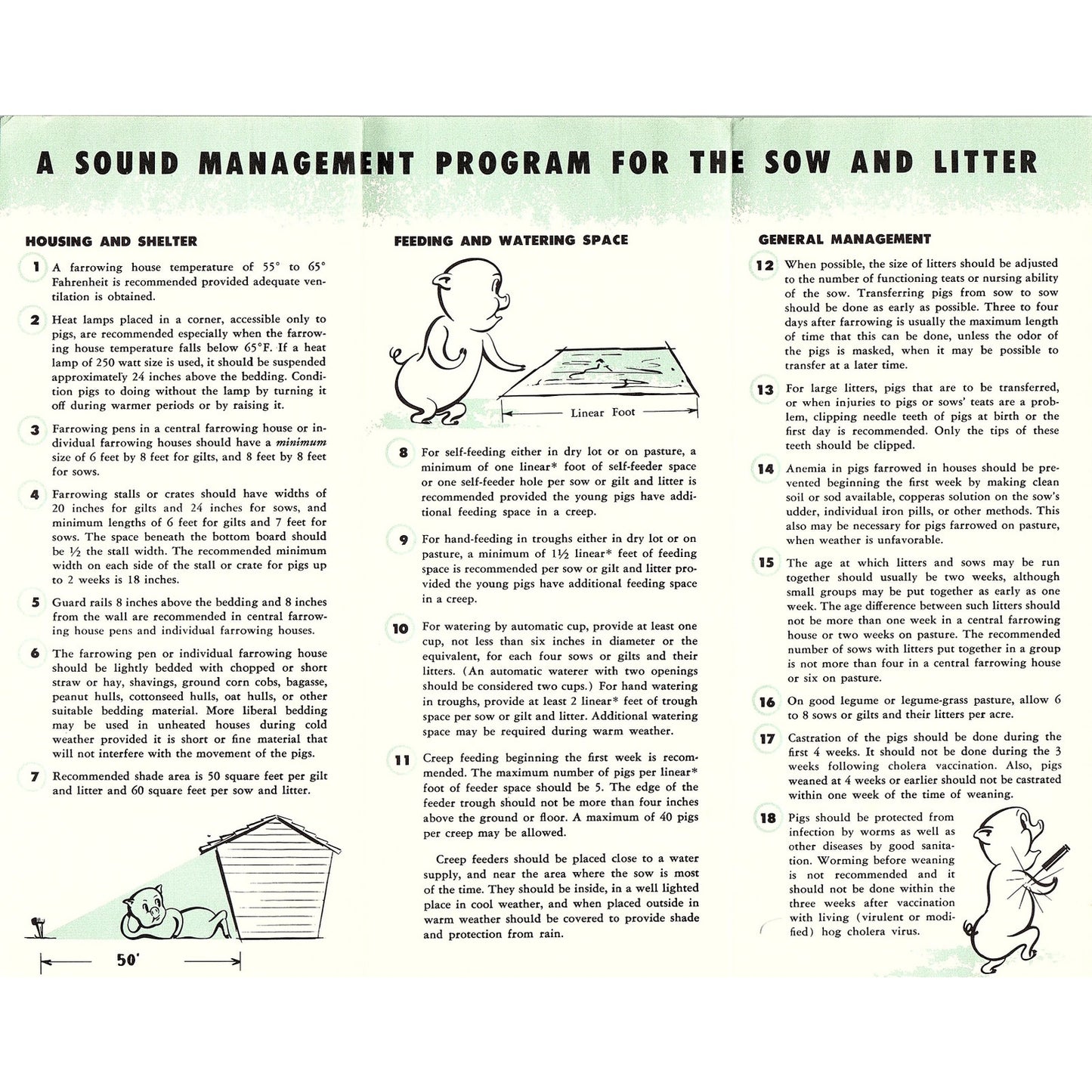 21 Management Recommendations for Swine Sow & Litter Vintage Brochure AG5-H3