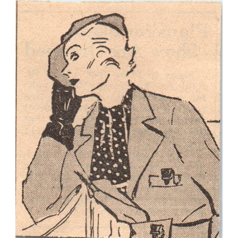 St. Paul Ice Folley Plans Dropped 1935 Minneapolis Journal Article AE7-N6