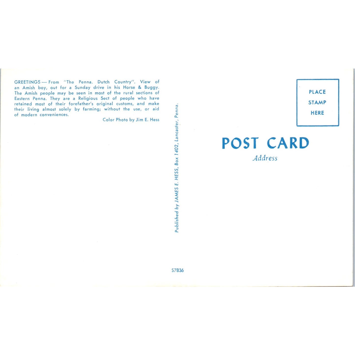 Amish Boy in Horse and Buggy Pennsylvania Dutch Country Postcard PD8