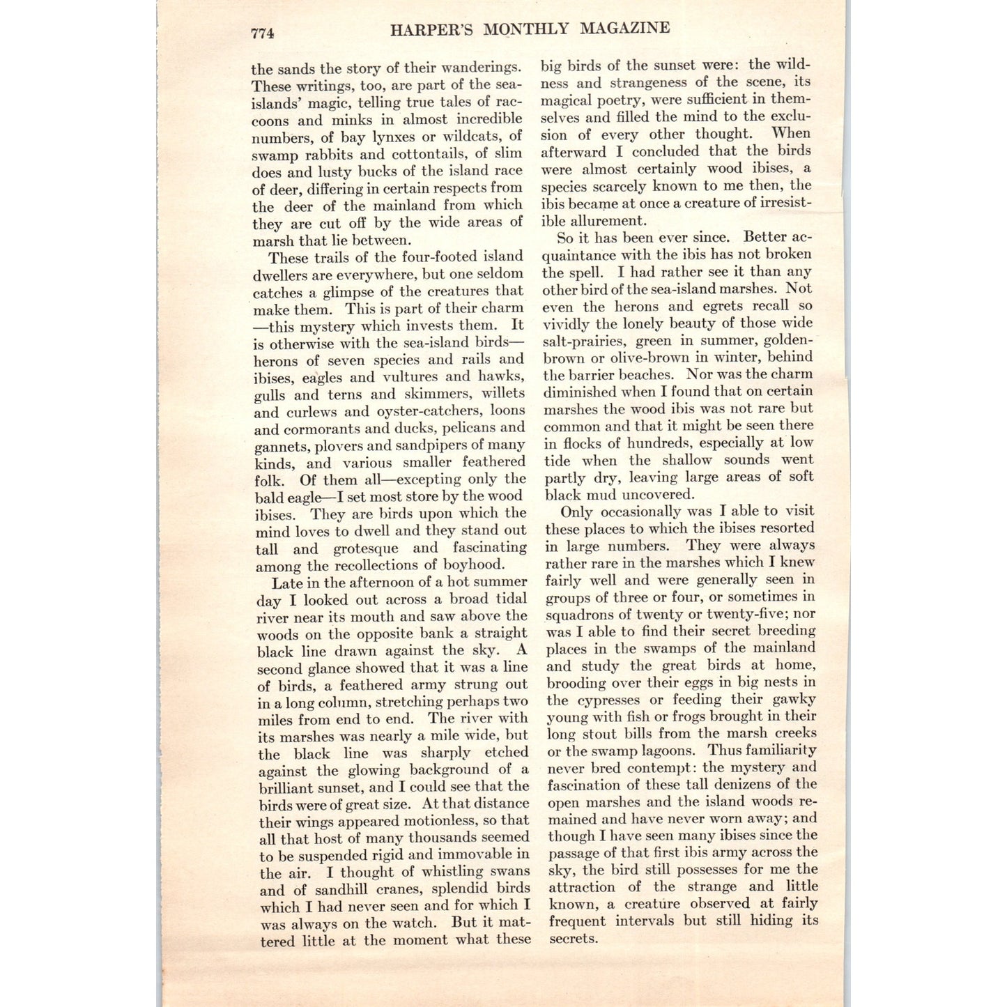 Sea-Island Magic Herons Herbert Ravenel Sass 5 Page 1924 Magazine Article D23