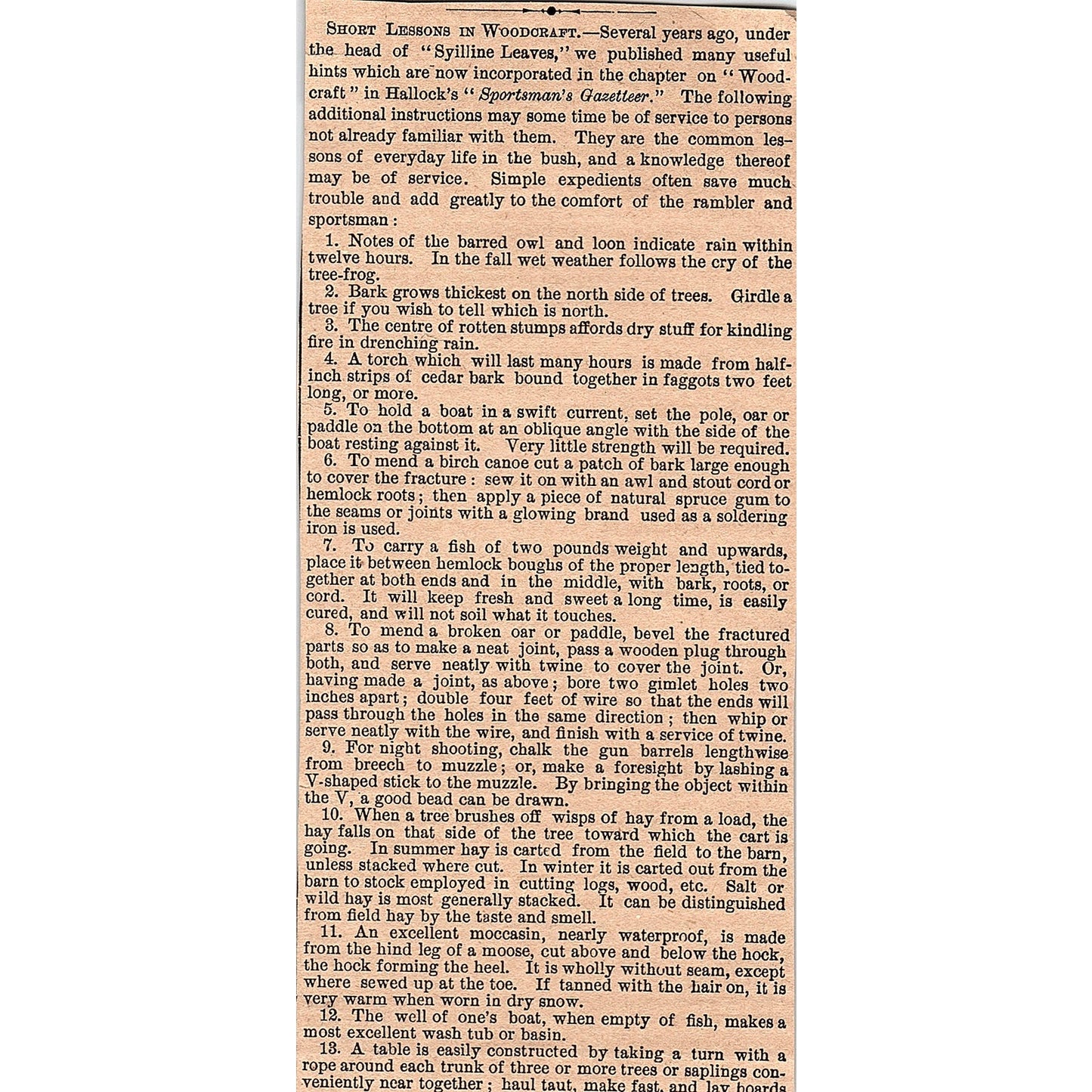 Short Lessons in Woodcraft Syilline Leaves 1878 Article AG2-7