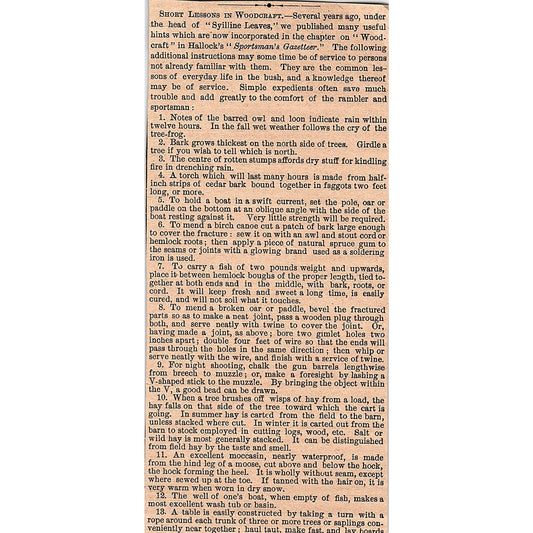 Short Lessons in Woodcraft Syilline Leaves 1878 Article AG2-7