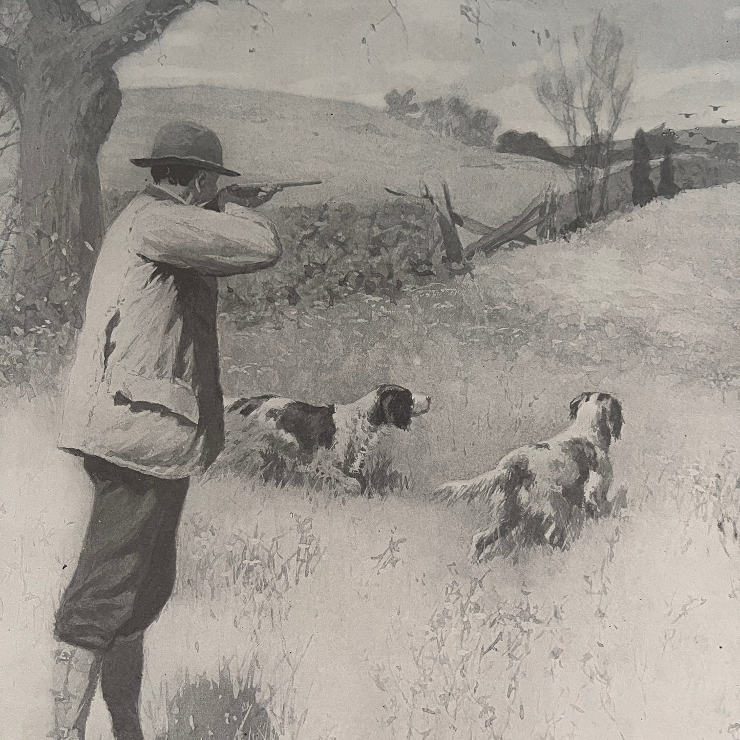 On The Wing - Hunting Scene - Original 1904 A.B. Frost Art Print V26-4