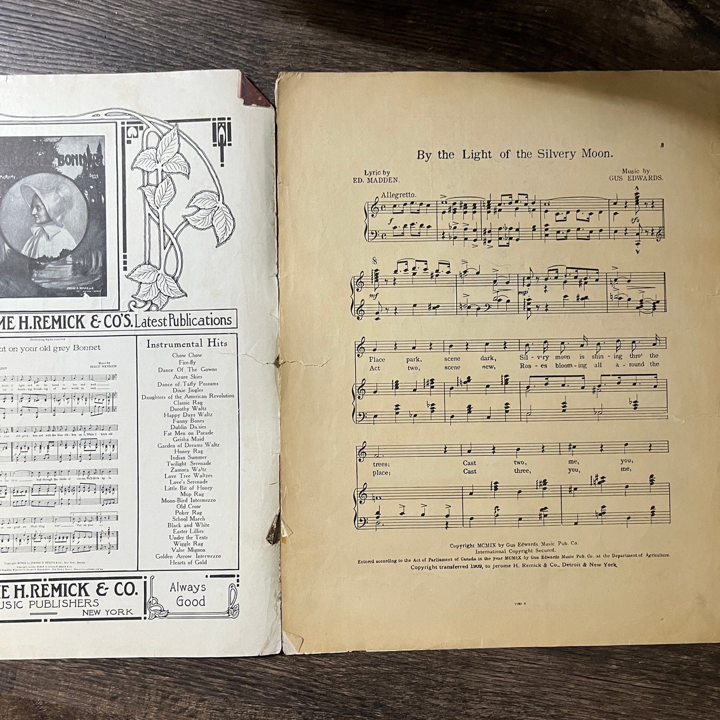 By The Light of the Silvery Moon Edward Madden Gus Edwards 1919 Sheet Music V13