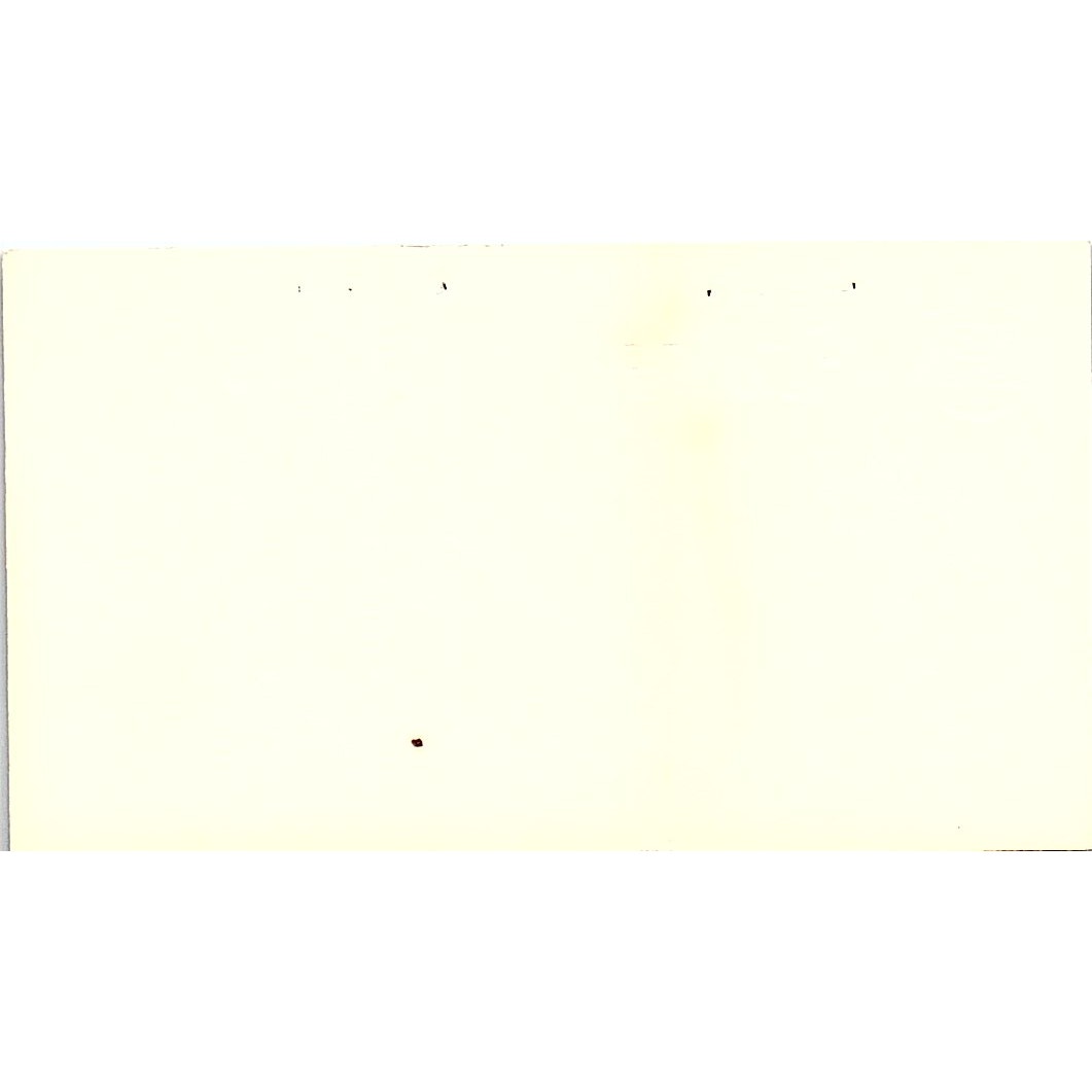 Rollins Environmental Service Rick Smith Houston TX Vintage Business Card SF3-B7