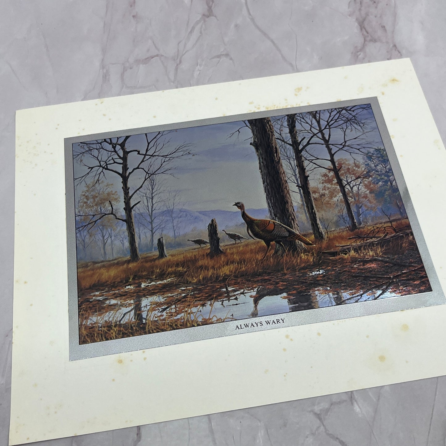 Always Wary Turkeys by David A. Maass Vintage Chromatic Foil Etch 8x10" V18