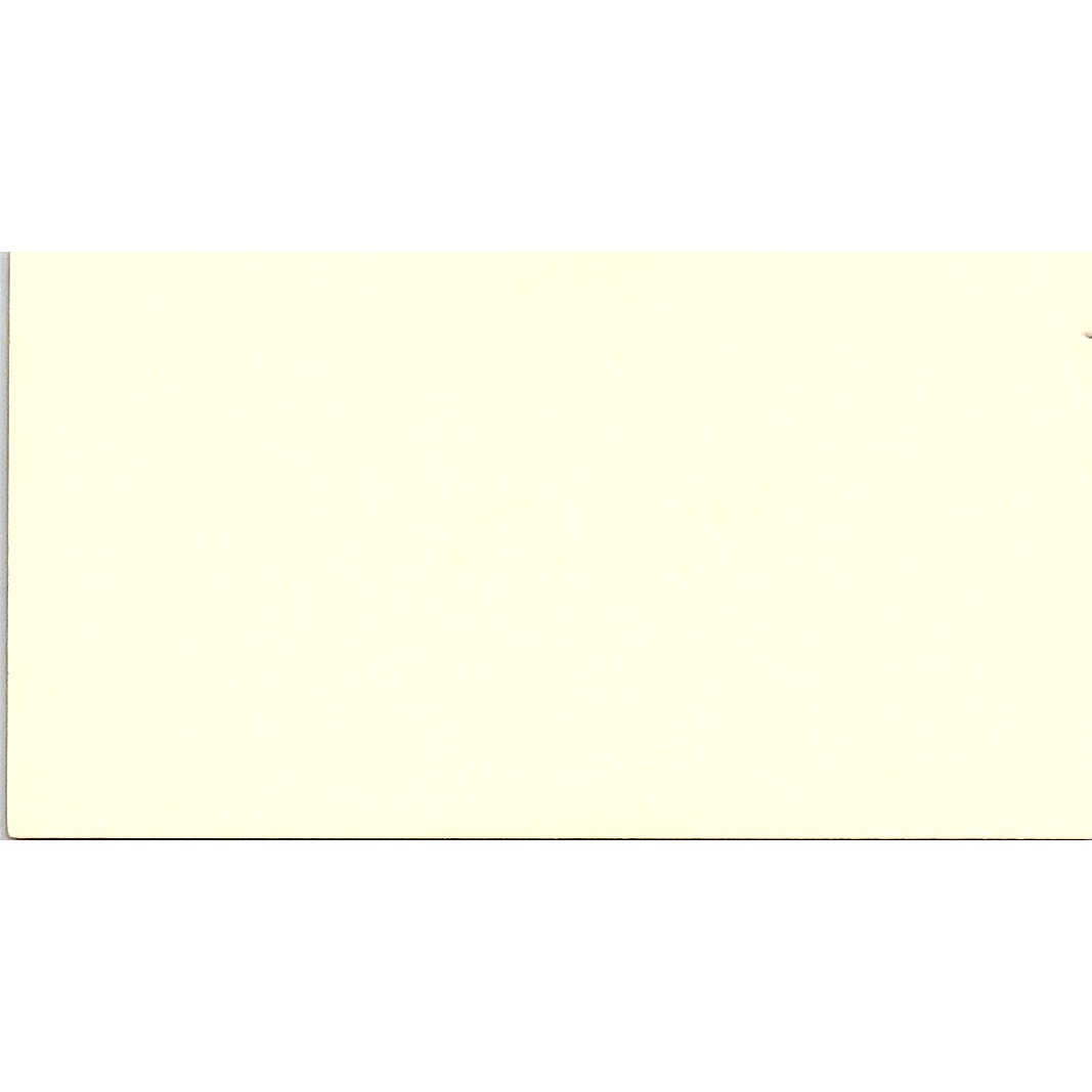 Shelly A Merchant Attorney Seabrook TX Vintage Business Card SE3-B12