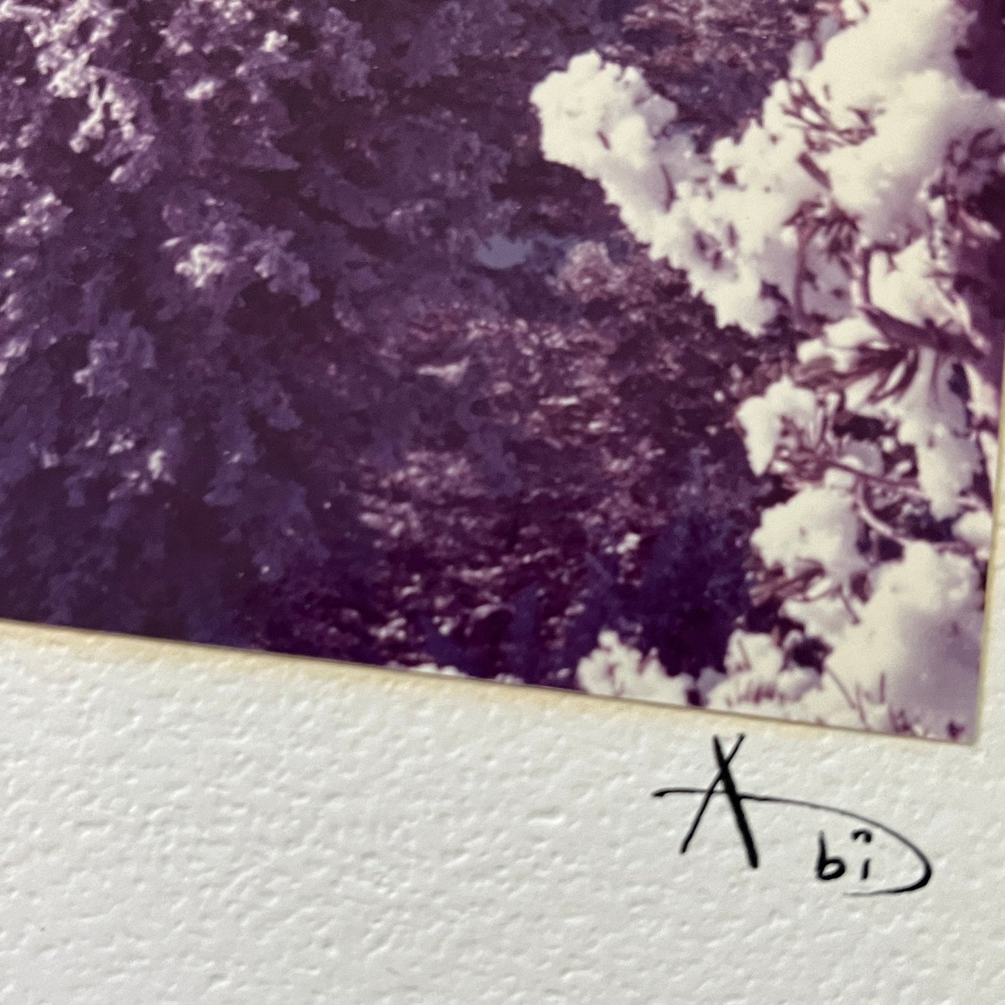1966 Signed Abi Garaman Grand Tetons Photograph Jackson Hole WY 11x14" FL6-11