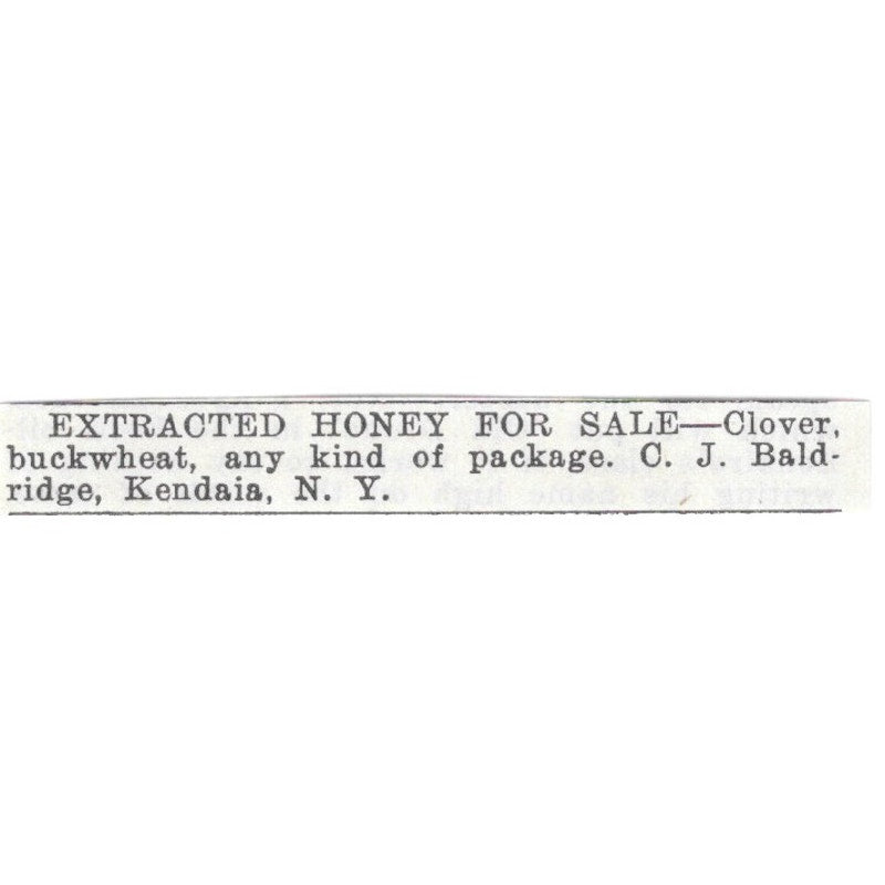 C.J. Baldridge Extracted Honey Kendaia New York 1926 Ad AG3-S21