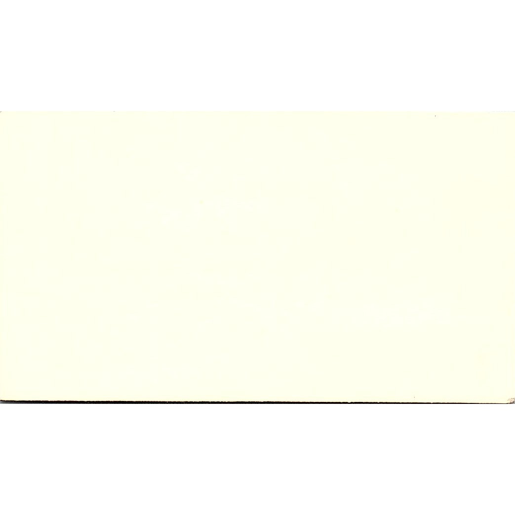 Barry I Levine & Co CPA Bellaire TX Vintage Business Card SD9-B12