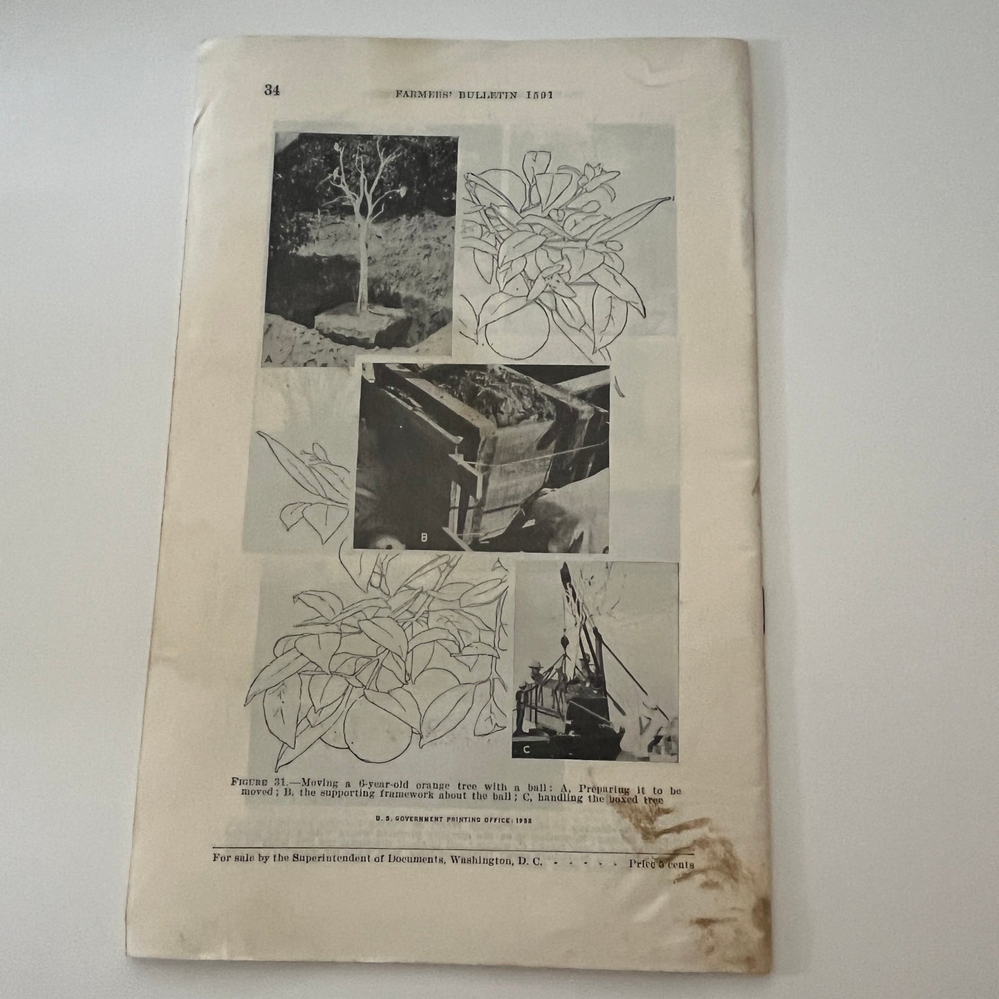 Transplanting Trees and Shrubs 1929 USDA Farm Bulletin Booklet TK2-XB4