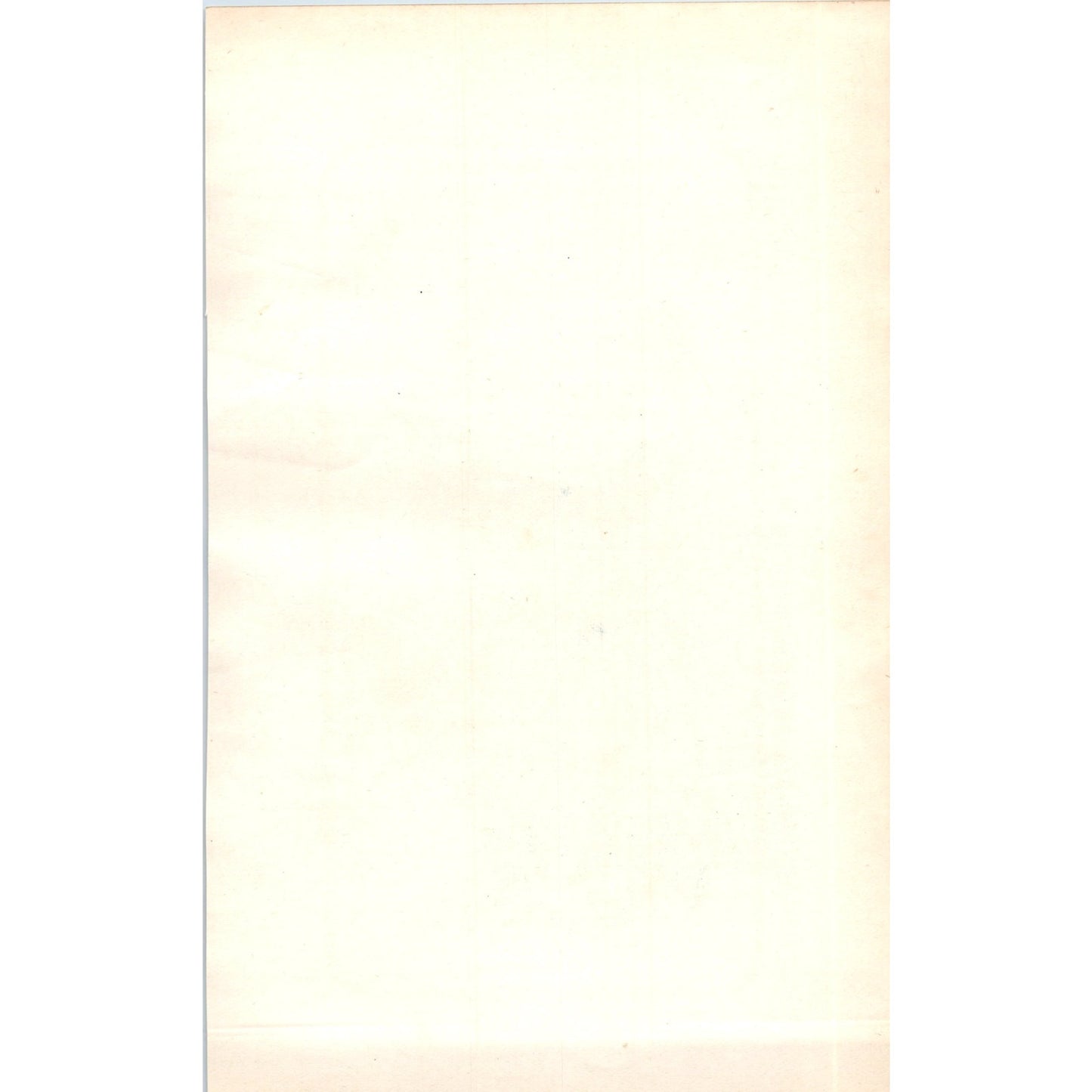 Common Wren Bird 1903 Original Color Engraving Plate Print AD8-B3