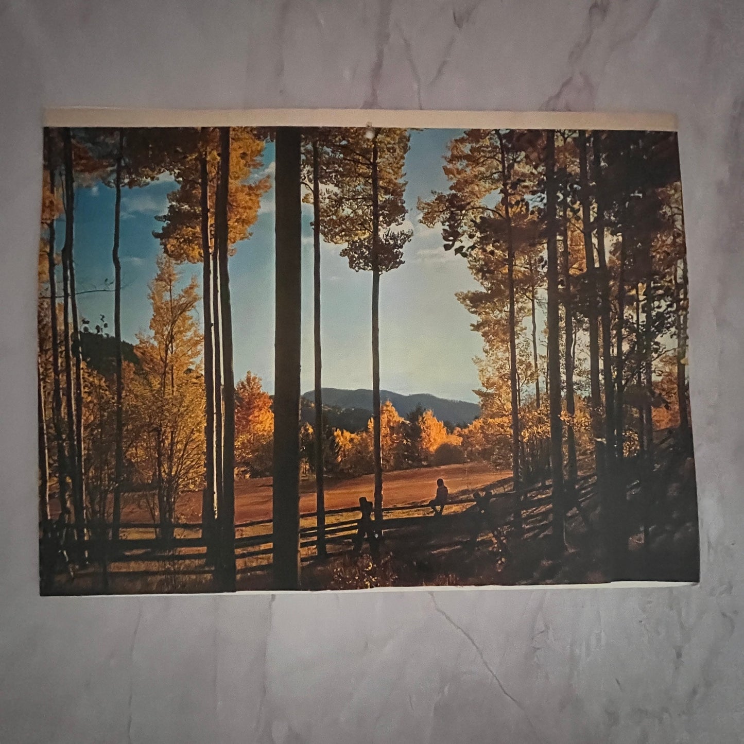 Retro Kitsch Fall Autumn Scene Aspen Colorado 10x14" Art Print V23