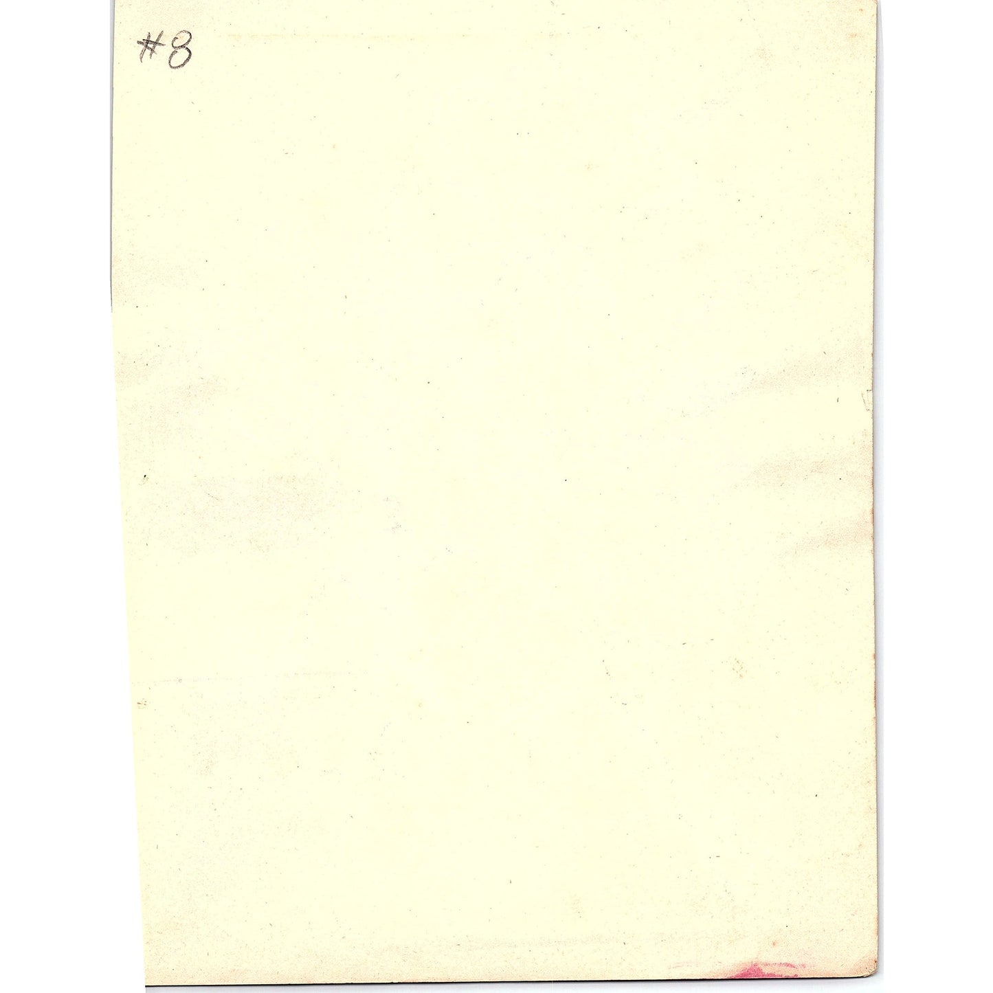 1940s Original Sketch of a Pink Wild Rose Bouquet Winifred Schutsky D26-8
