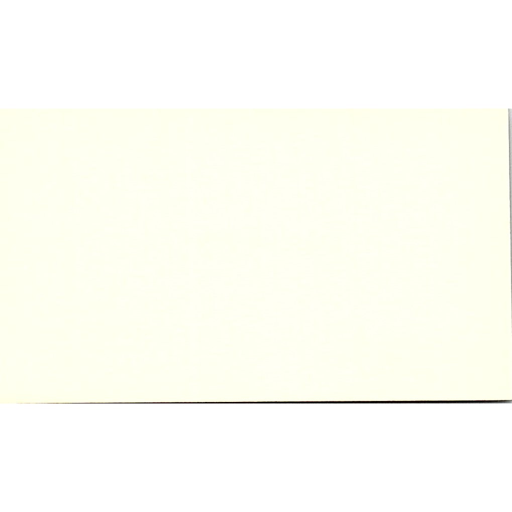 Biehl & Company Noral G. Schmidt Houston Texas Vintage Business Card SB4-B11