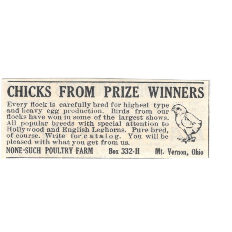 None-Such Poultry Farm Chicks From Prize Winners Mt. Vernon OH 1924 Ad AG3-S6