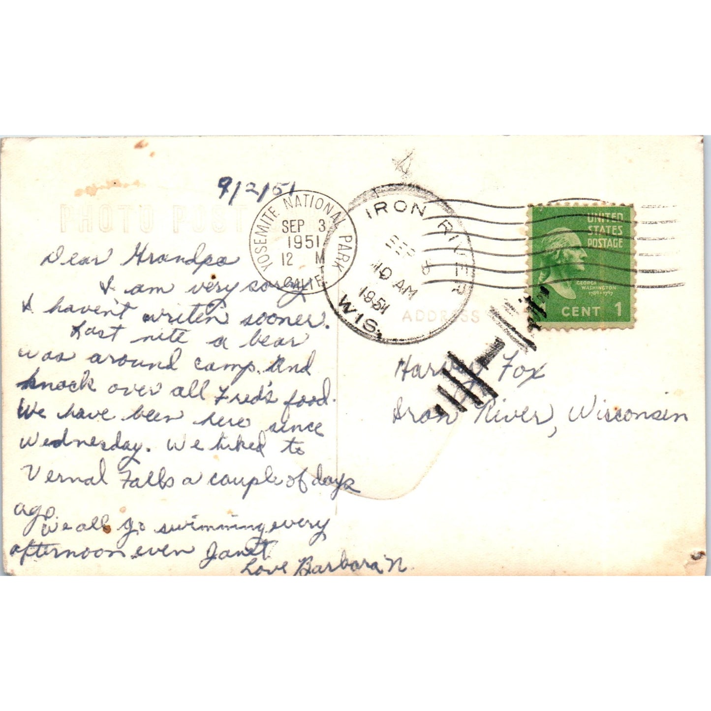 1951 Bear in Yosemite National Park CA Vintage Postcard PD9