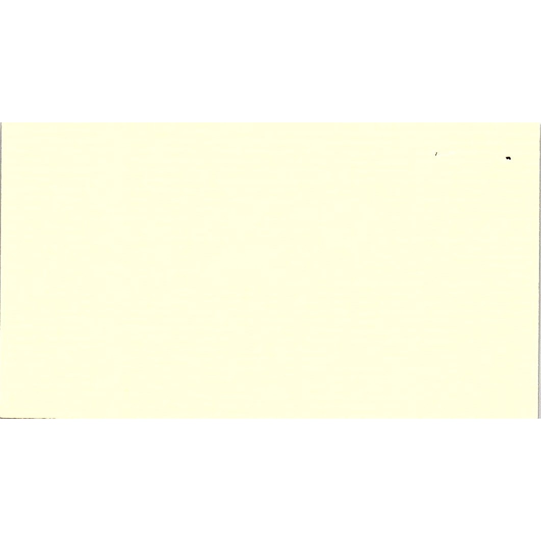 Mary Perran The Carpet Outlet Houston Vintage Business Card SC9-B11