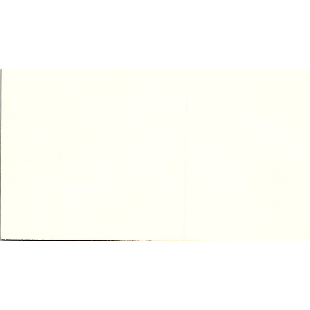 Southeastern Marine Surveying Co. David Scott Savannah GA Business Card SSB4-B13