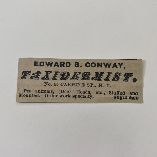 Edward B Conway Taxidermist 55 Carmine Street NY 1878 Ad AG2-M16
