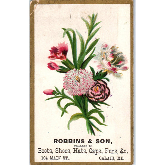 L.C. Bailey Robbins & Son Dry Goods Calais ME c1880 Victorian Trade Card AF1-AP8