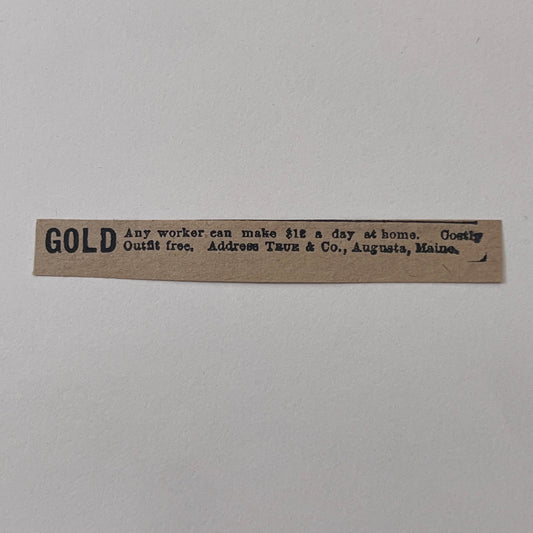 True & Co Work From Home Augusta Maine 1878 Ad AG2-M16
