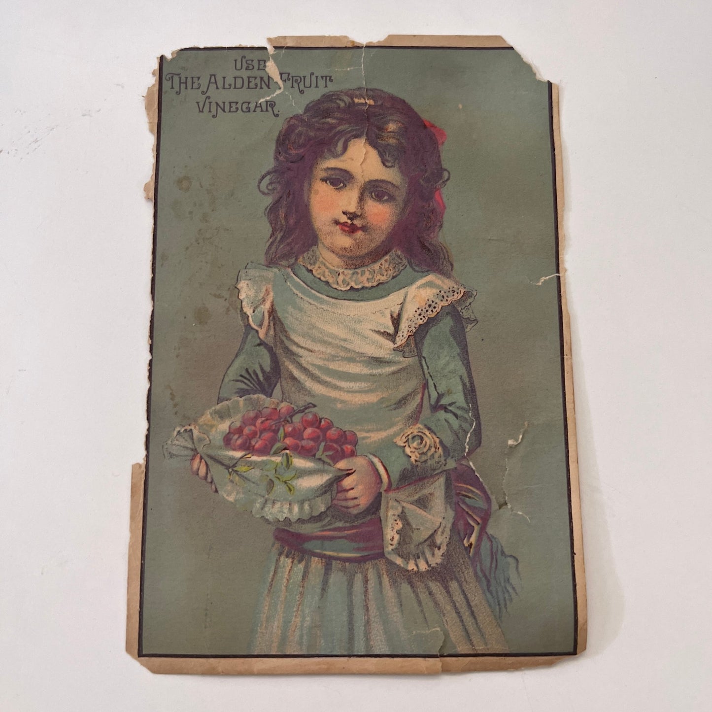 Girl With Grapes - Alden Fruit Vinegar 1880s Victorian Trade Card AG8-H4