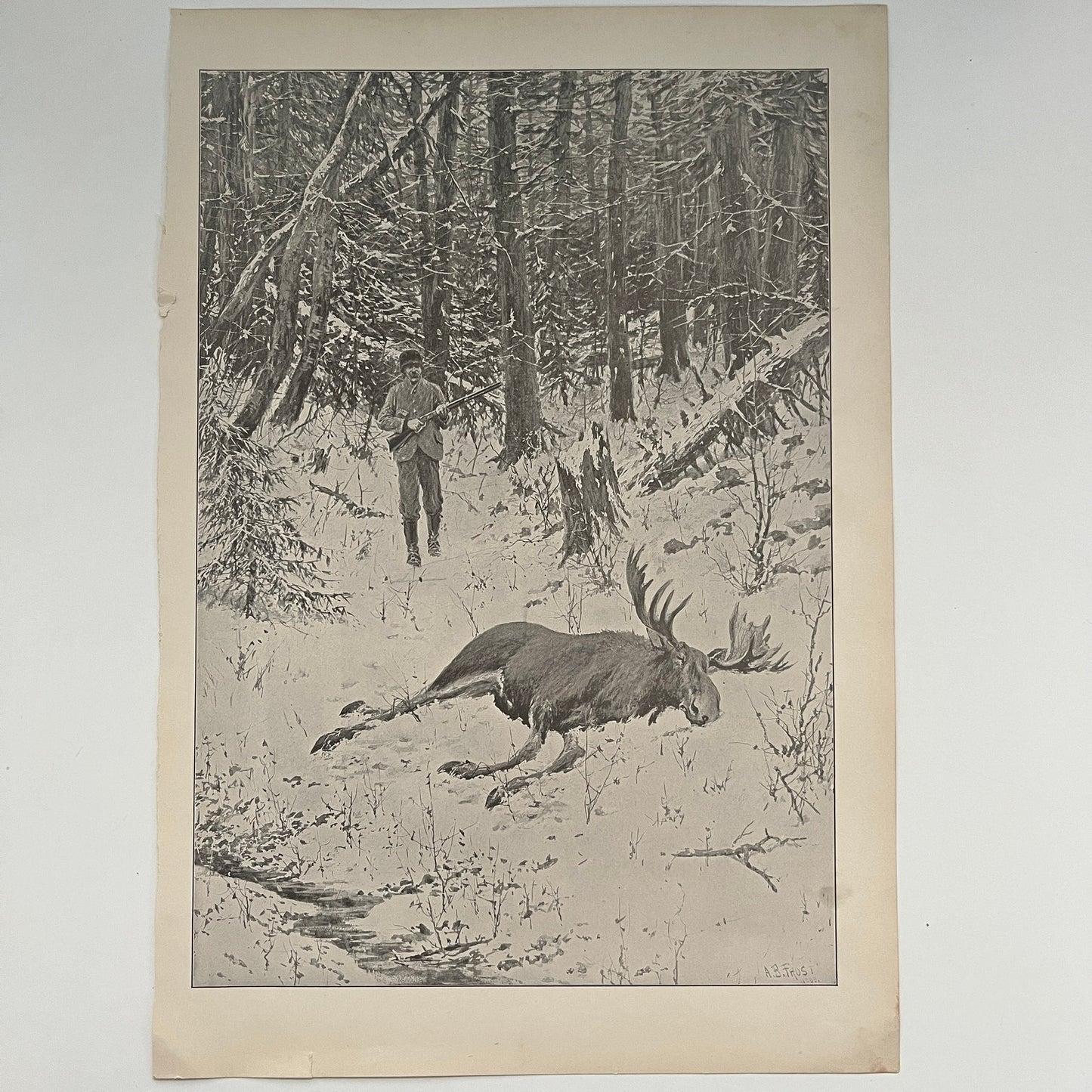 Under Penalty of Law - Moose Hunting - Original 1904 A.B. Frost Art Print V26-4