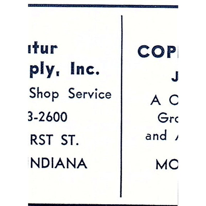 Lutes Flowers South Winchester St. Decatur Indiana 1964 Ad AG1-S13