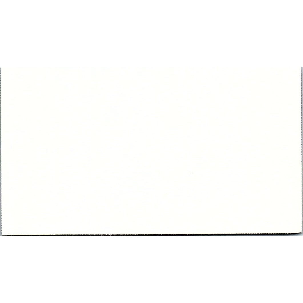 Panda Bear Paper Crafts Silene Walters Rochelle IL Vintage Business Card SC9-B9