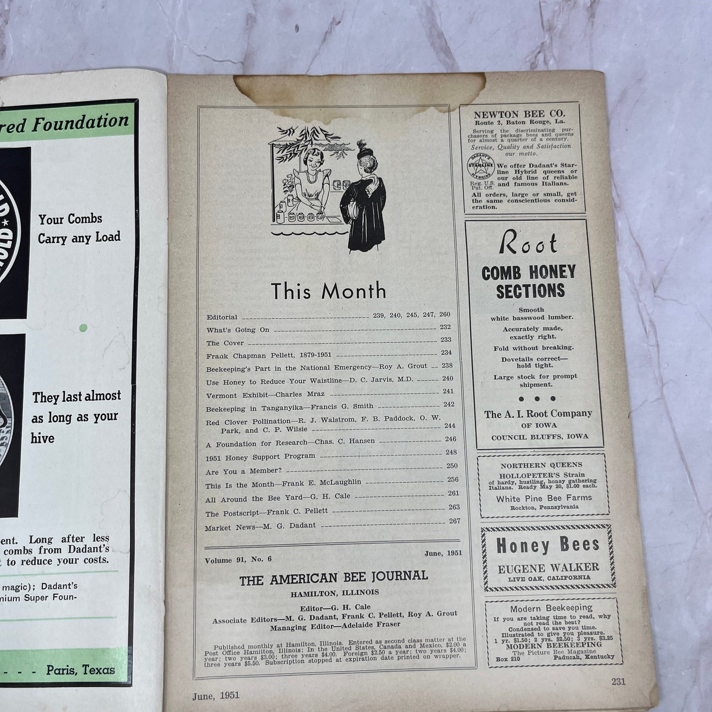 1951 June - American Bee Journal - Bees Beekeeping Honey M32